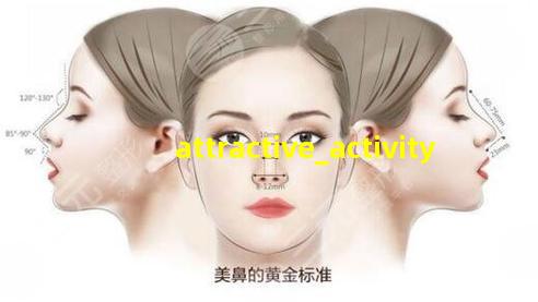 吸引人的活动方案
