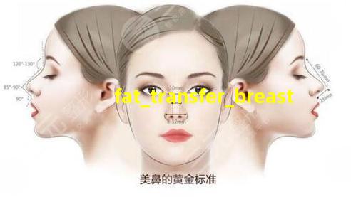 自体脂肪丰胸