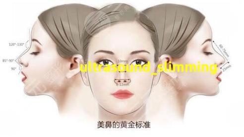 超声炮炮头示意图