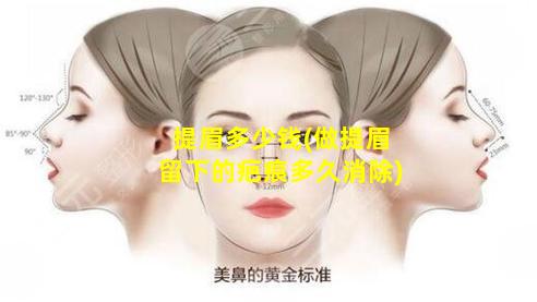 提眉多少钱(做提眉留下的疤痕多久消除)