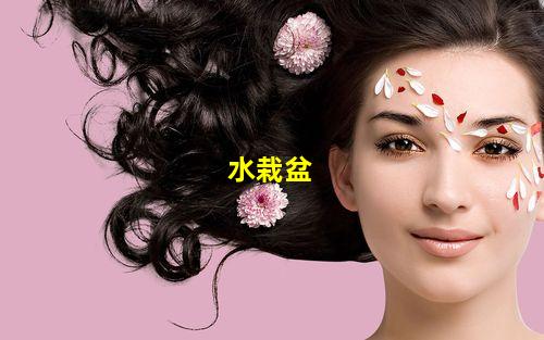 水栽盆